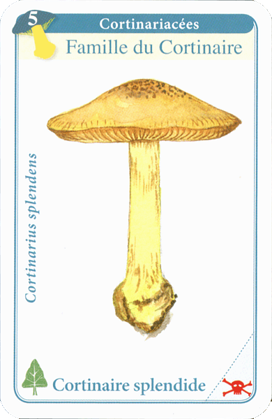 Spielkarte