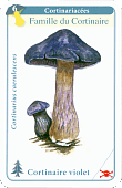 Spielkarte