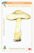 Spielkarte
