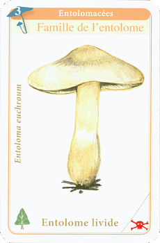 Spielkarte