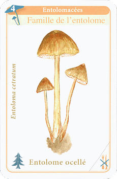 Spielkarte