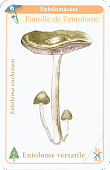 Spielkarte