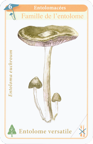 Spielkarte