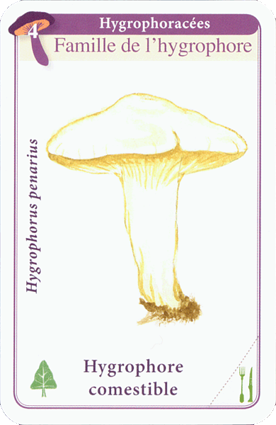 Spielkarte