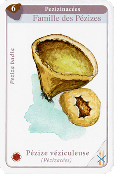 Spielkarte