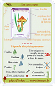 Informationen