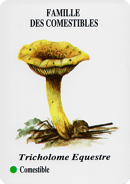 Spielkarte