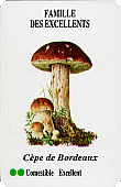 Spielkarte