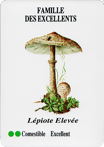 Spielkarte