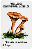 Spielkarte