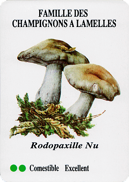Spielkarte
