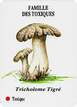 Spielkarte