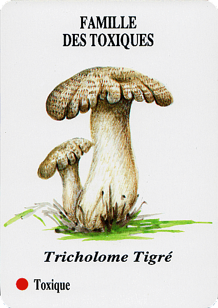 Spielkarte