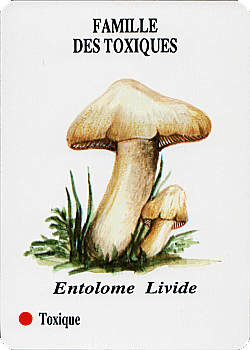 Spielkarte