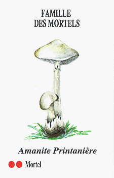 Spielkarte