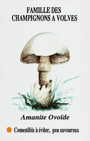 Spielkarte