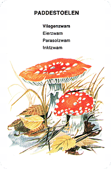 Spielkarte