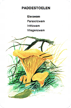 Spielkarte