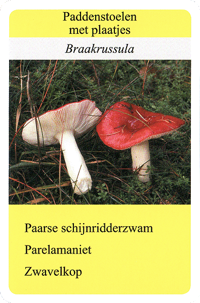 Spielkarte