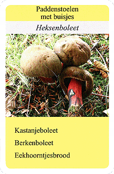 Spielkarte