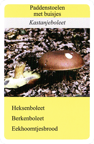 Spielkarte