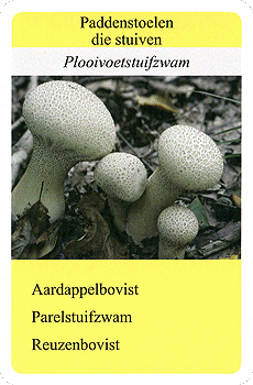 Spielkarte