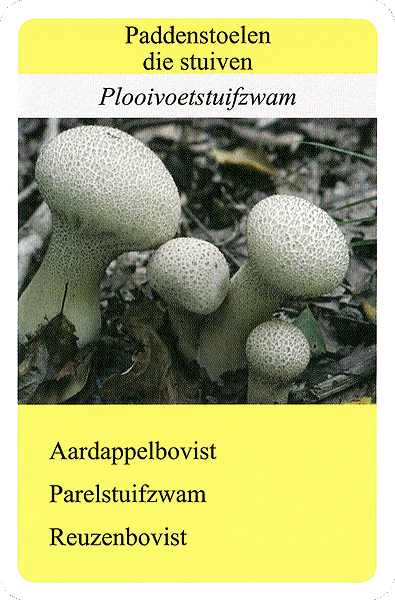 Spielkarte