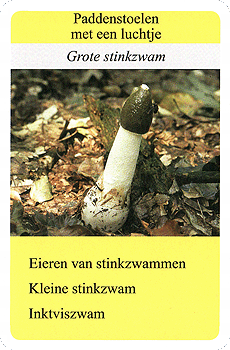 Spielkarte