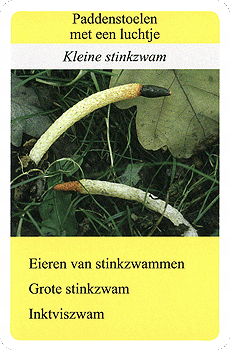 Spielkarte