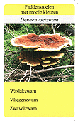 Spielkarte