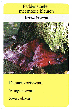 Spielkarte