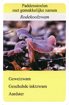 Spielkarte