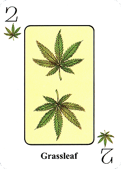 Spielkarte