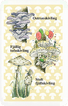 Spielkarte