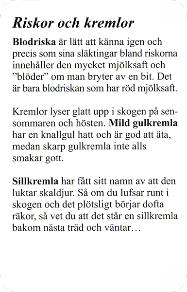 Spielkarte