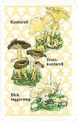 Spielkarte