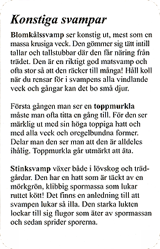 Spielkarte