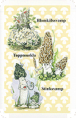 Spielkarte