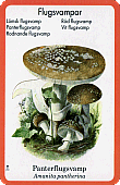 Spielkarte
