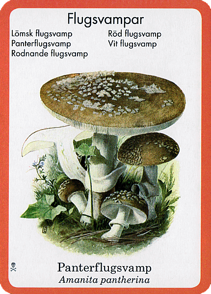 Spielkarte