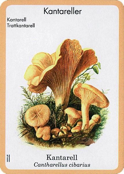 Spielkarte