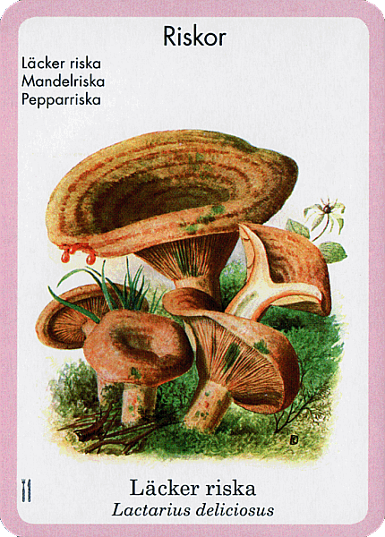 Spielkarte