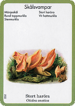 Spielkarte