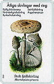 Spielkarte