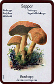 Spielkarte
