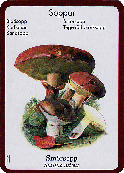 Spielkarte