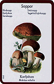 Spielkarte