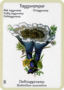 Spielkarte