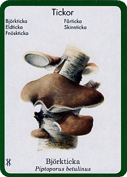 Spielkarte