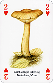 Spielkarte